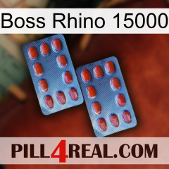 Boss Rhino 15000 05